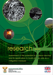 SA_Biochar