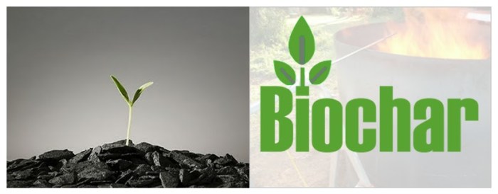 Photo courtesy http://2.bp.blogspot.com